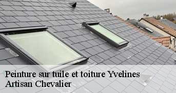 Peinture sur tuile et toiture 78 Yvelines  Artisan Chevalier