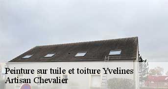 Peinture sur tuile et toiture Yvelines 