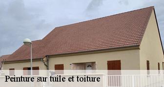 Peinture sur tuile et toiture Yvelines 