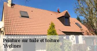 Peinture sur tuile et toiture Yvelines 