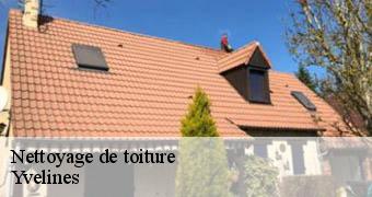 Nettoyage de toiture