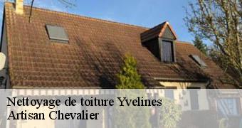 Nettoyage de toiture Yvelines 