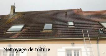 Nettoyage de toiture Yvelines 