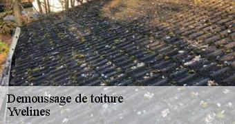 Demoussage de toiture Yvelines