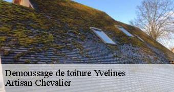 Demoussage de toiture Yvelines 