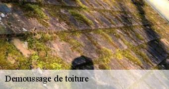 Demoussage de toiture Yvelines 