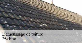 Demoussage de toiture Yvelines 