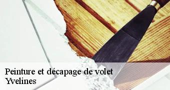 Peinture et décapage de volet Yvelines 