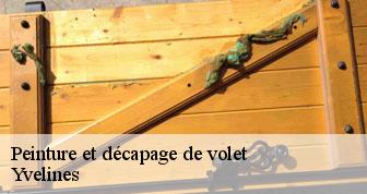 Peinture et décapage de volet Yvelines 