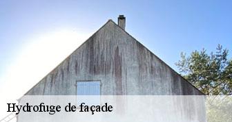 Hydrofuge de façade Yvelines