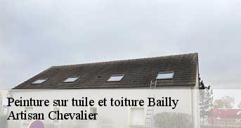 Peinture sur tuile et toiture 78870
