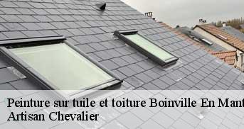 Peinture sur tuile et toiture  boinville-en-mantois-78930 Artisan Chevalier