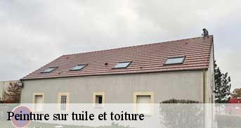 Peinture sur tuile et toiture