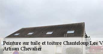 Peinture sur tuile et toiture 78570