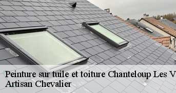 Peinture sur tuile et toiture  chanteloup-les-vignes-78570 Artisan Chevalier