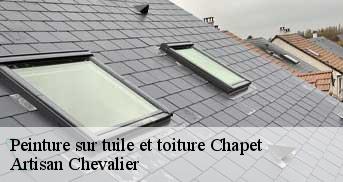 Peinture sur tuile et toiture  chapet-78130 Artisan Chevalier