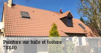 Peinture sur tuile et toiture 78840