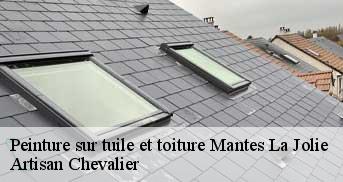 Peinture sur tuile et toiture  mantes-la-jolie-78200 Artisan Chevalier