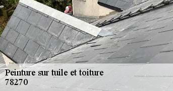 Peinture sur tuile et toiture