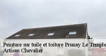 Peinture sur tuile et toiture 78910