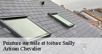 Peinture sur tuile et toiture sailly-78440 Artisan Chevalier