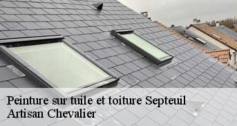 Peinture sur tuile et toiture  septeuil-78790 Artisan Chevalier