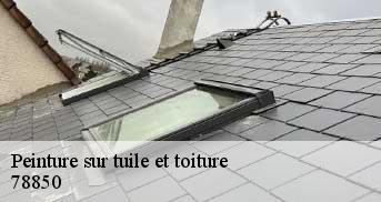 Peinture sur tuile et toiture 78850