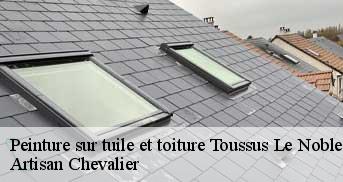 Peinture sur tuile et toiture  toussus-le-noble-78117 Artisan Chevalier