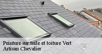 Peinture sur tuile et toiture vert-78930 Artisan Chevalier