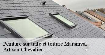Peinture sur tuile et toiture  marsinval-78540 Artisan Chevalier