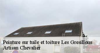Peinture sur tuile et toiture 78955