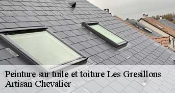 Peinture sur tuile et toiture les-gresillons-78955 Artisan Chevalier