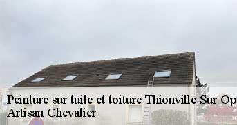 Peinture sur tuile et toiture  78550