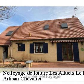 Nettoyage de toiture  les-alluets-le-roi-78580 Artisan Chevalier