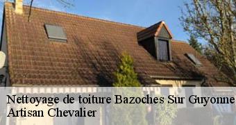 Nettoyage de toiture  78490
