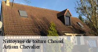 Nettoyage de toiture 78460