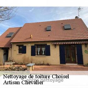 Nettoyage de toiture choisel-78460 Artisan Chevalier