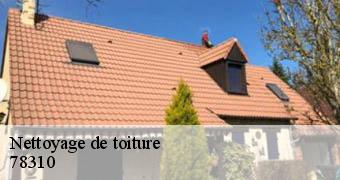 Nettoyage de toiture