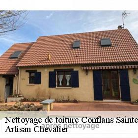 Nettoyage de toiture conflans-sainte-honorine-78700 Artisan Chevalier