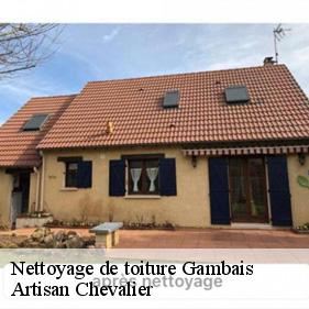 Nettoyage de toiture  gambais-78950 Artisan Chevalier