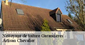Nettoyage de toiture 78890