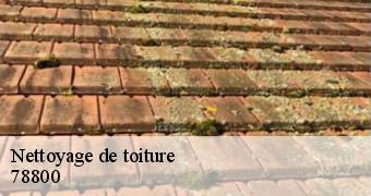 Nettoyage de toiture 78800