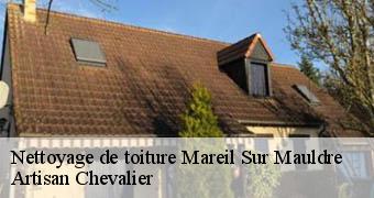 Nettoyage de toiture 78124