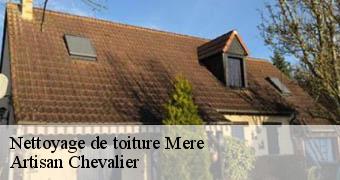 Nettoyage de toiture 78490