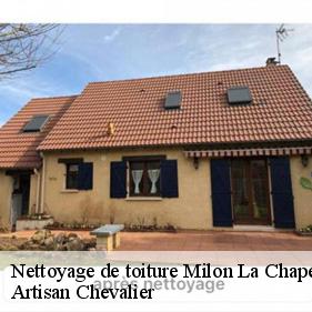 Nettoyage de toiture  milon-la-chapelle-78470 Artisan Chevalier