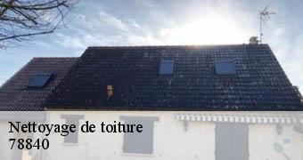 Nettoyage de toiture 78840