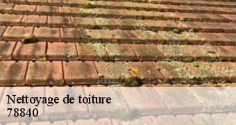 Nettoyage de toiture 78840