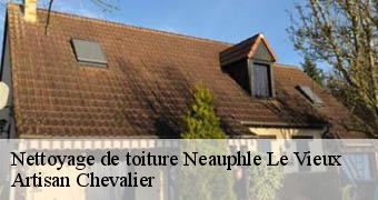Nettoyage de toiture 78640