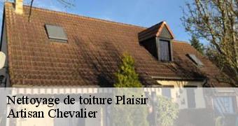 Nettoyage de toiture 78370