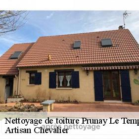 Nettoyage de toiture  prunay-le-temple-78910 Artisan Chevalier
